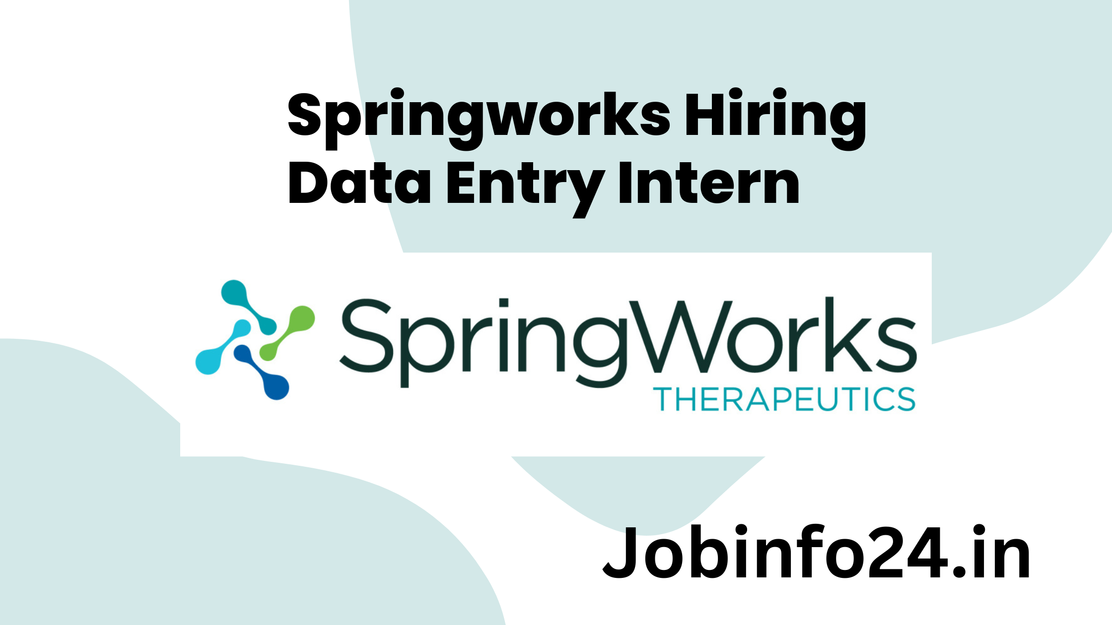 Springworks Hiring Data Entry Intern