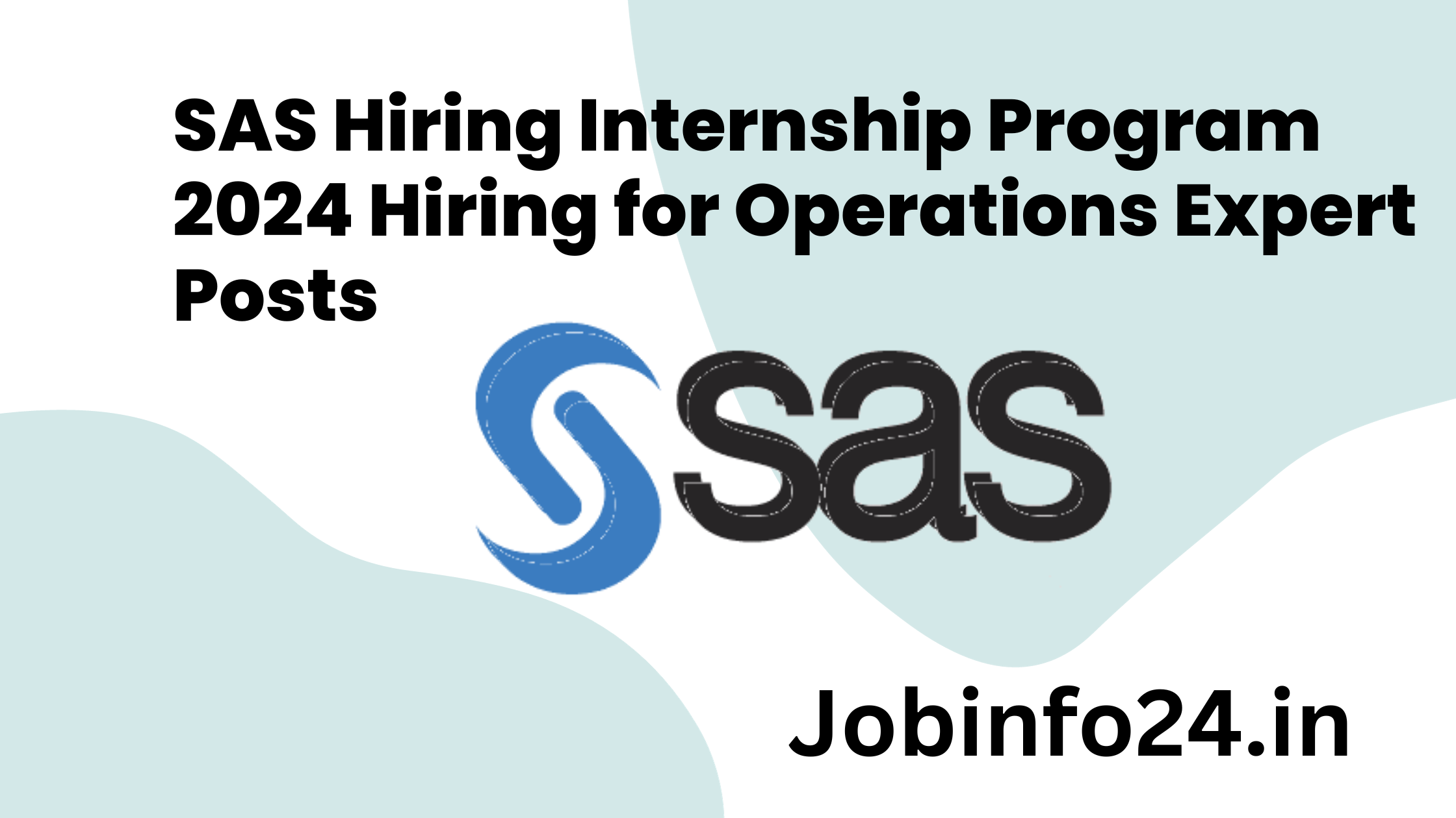SAS Hiring Internship Program 2024