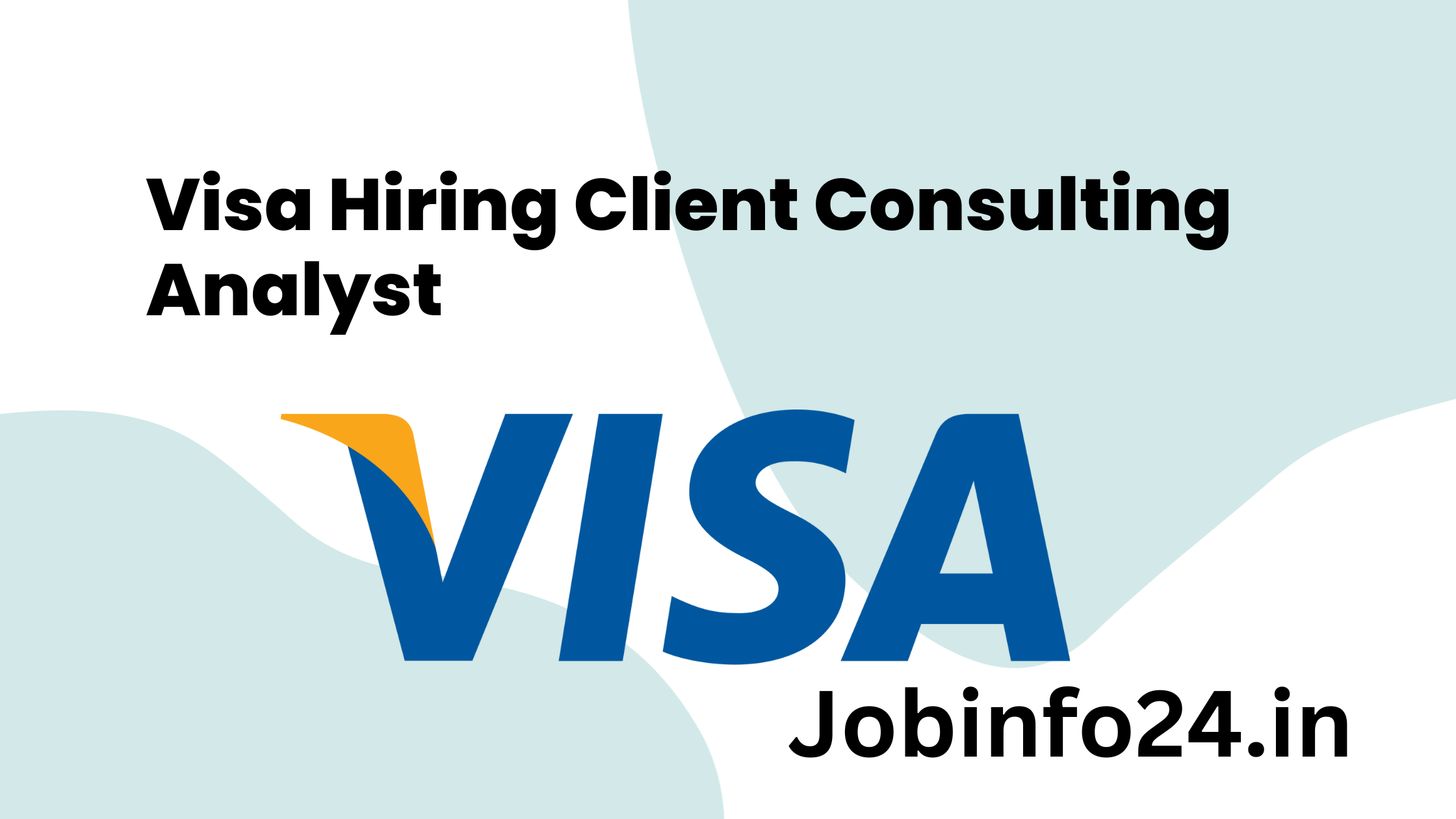 Visa Hiring Client Consulting Analyst