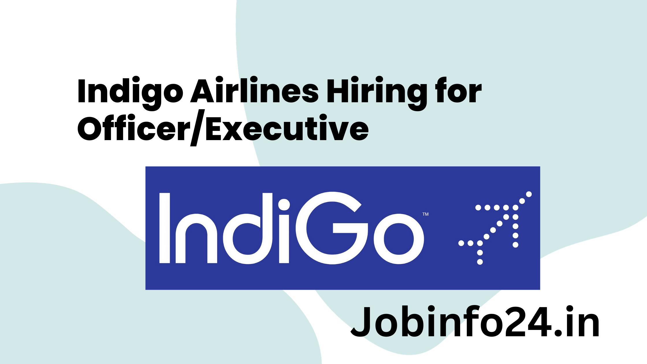 Indigo Airlines Hiring for Officer/Executive